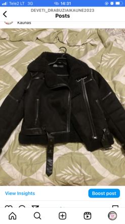 paltas zara