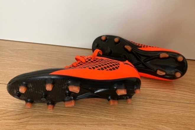 Puma bucai