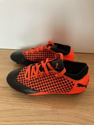 Puma bucai