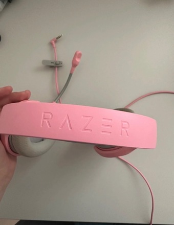 Razer ausines